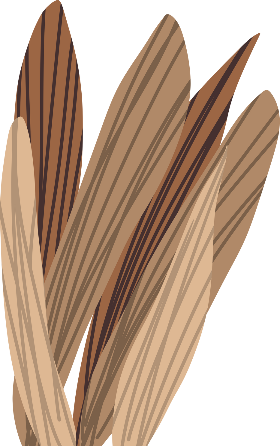 Aesthetic leaves brown